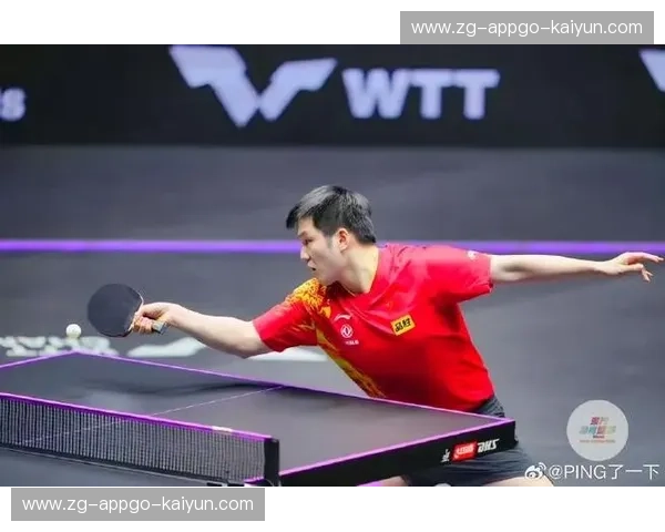 乒乓球专栏：每一次挥拍，都是热爱的回声